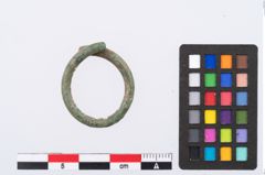 Foto von Bronzering (NHMW-PRAE-003423)